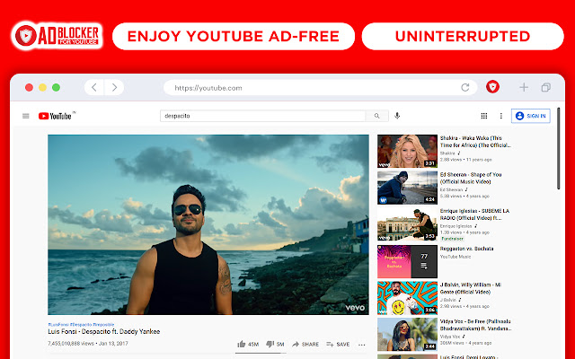 YouTube AdBlocker Chrome